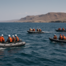 At Least 139 Migrants Dead and 84 Missing After Boat Capsizes Off Djibouti At Least 139 Migrants Dead and 84 Missing After Boat Capsizes Off Djibouti